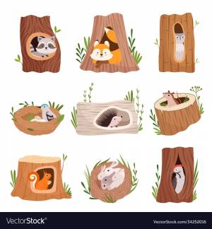 Белочка в дупле рисунок