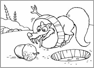 Раскраска белка и орех