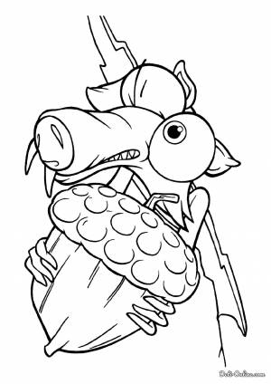 Раскраска Белка Скрат поймала орех