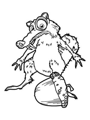 Раскраски Белка из ледникового периода