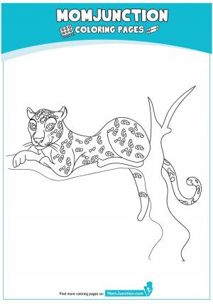 print coloring image