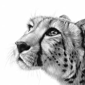 Richard Symonds Artist