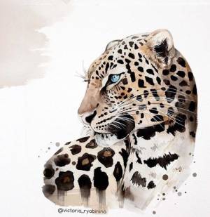 Пин от пользователя Carma Silva на доске Camisetas femeninas