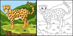 Гепард раскраски страницы векторные иллюстрации