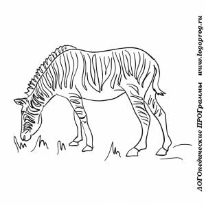 Картинки-раскраски на тему животные жарких стран
