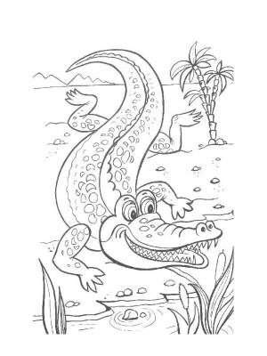 Раскраски Животных жарких стран   в формате