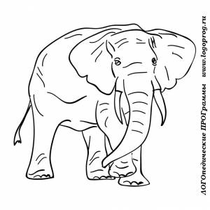 Картинки-раскраски на тему животные жарких стран