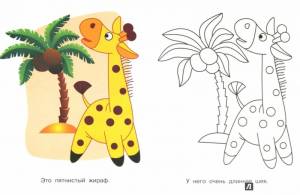 Животные жарких стран