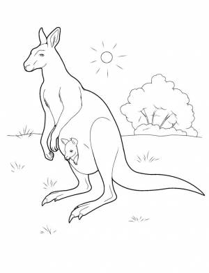 Раскраска животные жарких стран