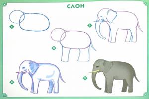 Схемы рисования «Животные жарких стран