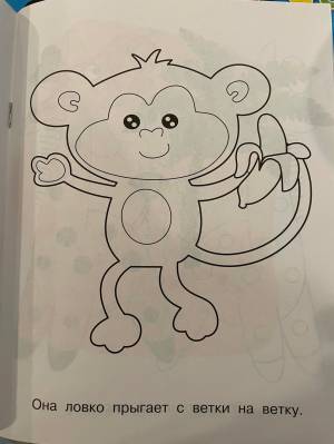 Животные жарких стран