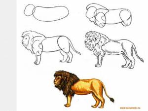 Схемы рисования «Животные жарких стран