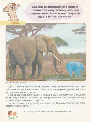 Первые уроки 5