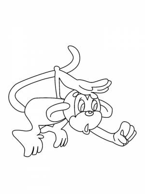 Раскраска Животных жарких стран  картинку для девочек