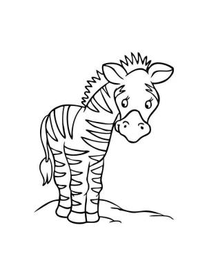 Раскраски Животных жарких стран