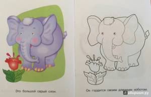 Животные жарких стран