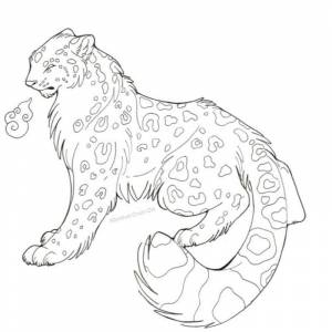 Картинки снежный барс для детей раскраска