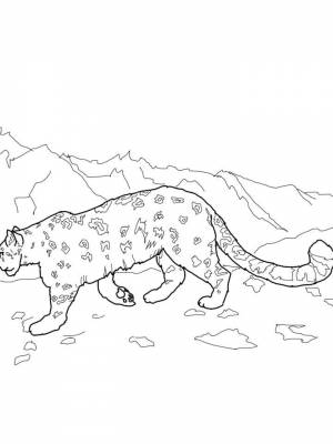 Картинка Снежный барс