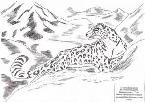 Картинки снежный барс нарисованные карандашом