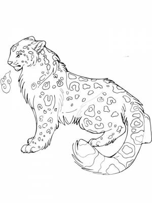 Раскраска Снежный барс  картинку для девочек