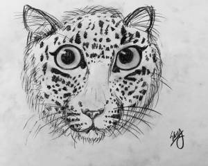 Барс рисунок