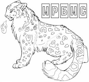 Ирбис раскраска