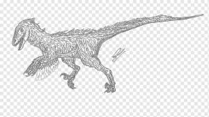 Velociraptor Deinonychus Tyrannosaurus Рисунок животных, первобытный deinonychus, белый, другие, тираннозавр png