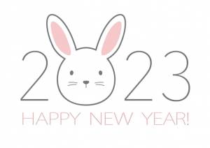 Год кролика 2023