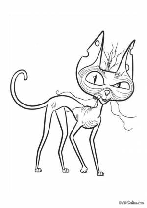 Раскраска кот-сфинкс Озоун