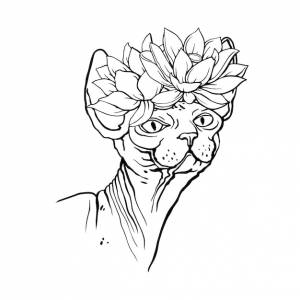 Кот сфинкс с цветами