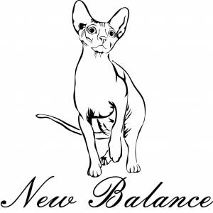 Раскраска кот сфинкс