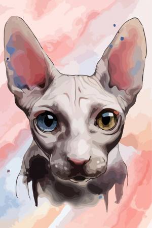 Картина по номерам на холсте рисование Кошка Сфинкс