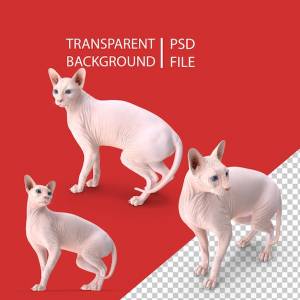 Сфинкс кошка крем png