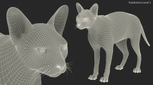 Кремовый сфинкс для Cinema 4D 3D Модель $199