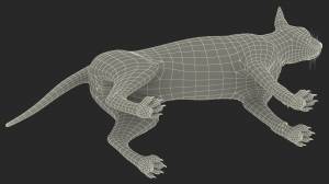 Кремовый сфинкс для Cinema 4D 3D Модель $199