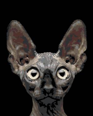 Картина по номерам на холсте на подрамнике 40х50 см