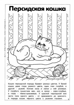 Раскраски сфинкс, Раскраска Донской сфинкс Породы кошек