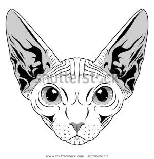 Vector Monochromatic Sphynx Cat Head Black