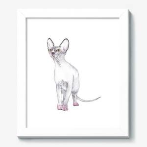 Картина «Кошка Сфинкс»