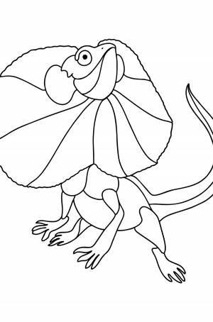 Раскраска Плащеносная ящерица ♥ Онлайн и !