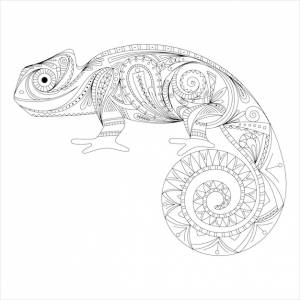 Хамелеон каракули стзованный zentangle ящерица орнамент раскраски страницы книги для взрослых рисованной иллюстрации