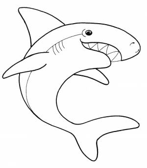 Раскраска Зубастая акула