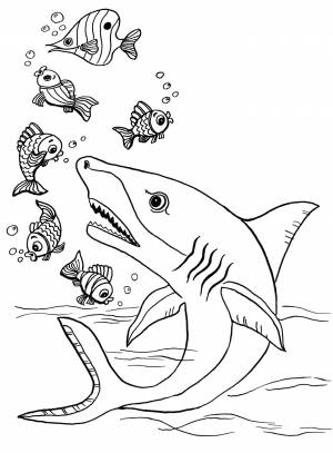 Раскраска Злая акула