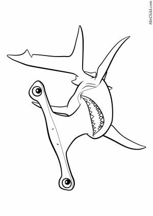 Рыба молот раскраска