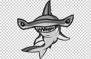 Графика акула-молот Иллюстрация, акула, животные, фотография, позвоночные png