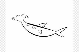 Молотоголовая акула Книжка-раскраска Бык-акула, Мультфильм акула-молот, угол, белый, морской Млекопитающее png