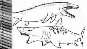Раскраски Акула мегалодон