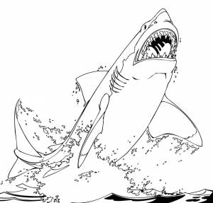 Раскраска акула мегалодон
