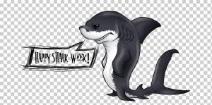 Большая белая акула Рисунок Мегалодон, акула, морское млекопитающее, млекопитающее, животные png