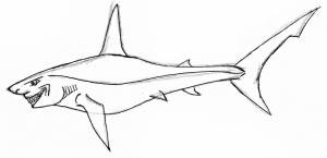 Раскраска акула мегалодон
